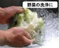 野菜の洗浄